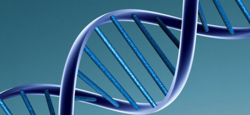 dna