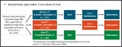 Rmd_trial-768×294